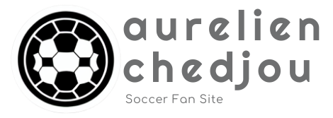 Aurelien Chedjou Soccer Fan